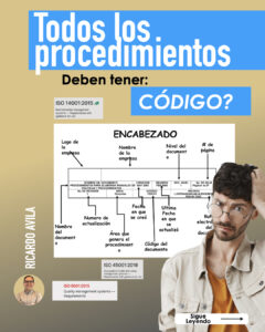 ¿Todos los procedimientos de la empresa deben tener CÓDIGO?